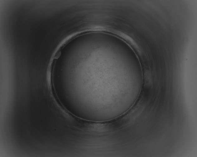 X0000100901424200806241243