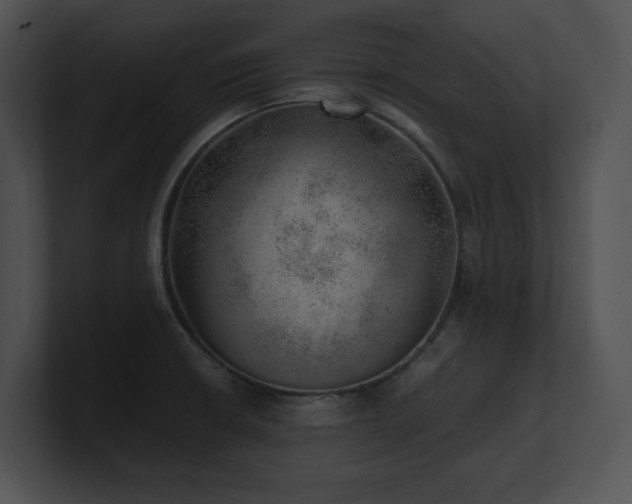 X0000100901426200806241243