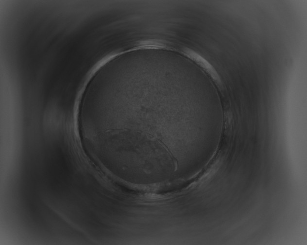 X0000100901427200806241243