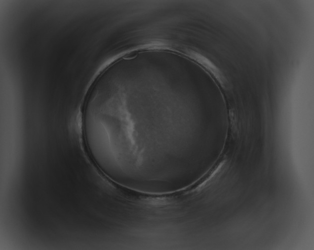 X0000100901428200806241243