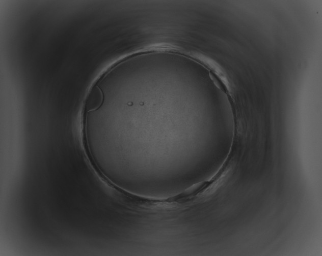X0000100901430200806241243