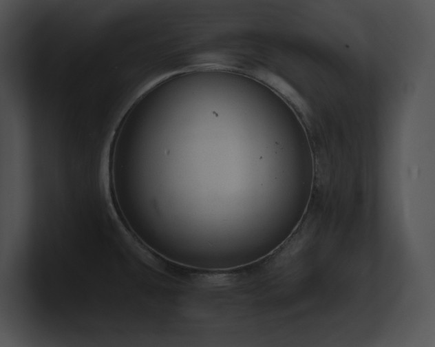 X0000100901431200806241243