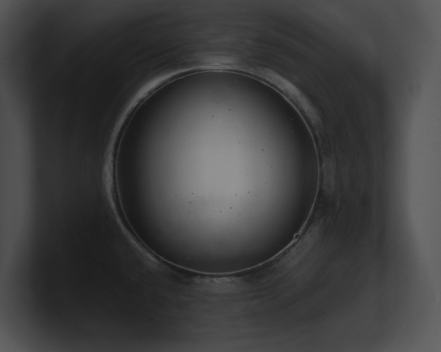 X0000100901432200806241243