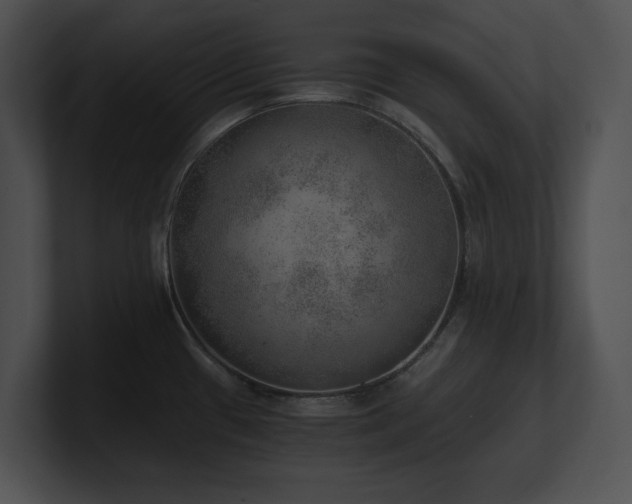 X0000100901433200806241243