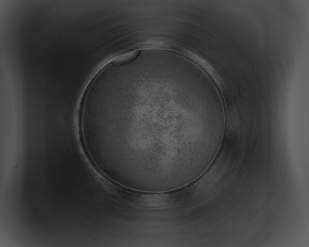 X0000100901434200806241243