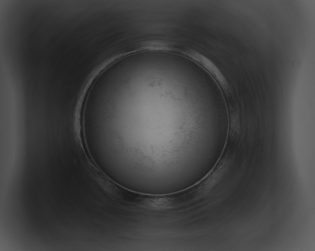 X0000100901435200806241243