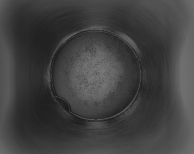 X0000100901436200806241243