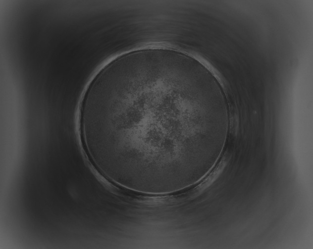 X0000100901438200806241243