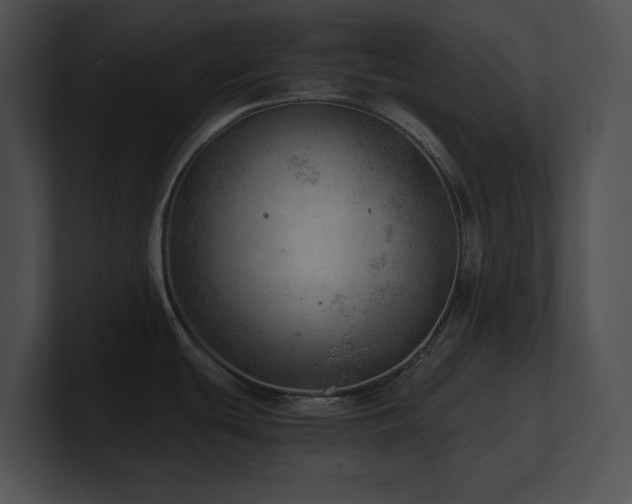 X0000100901439200806241243