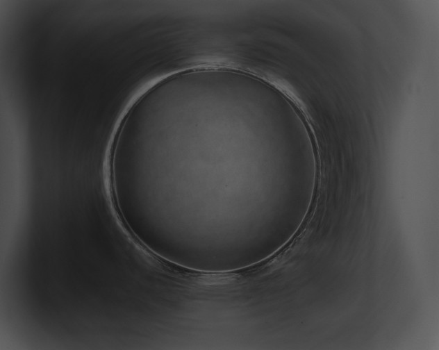 X0000100901440200806241243