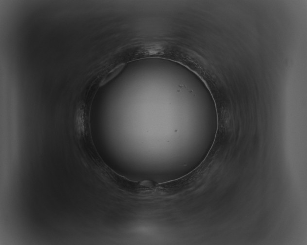 X0000100901442200806241242