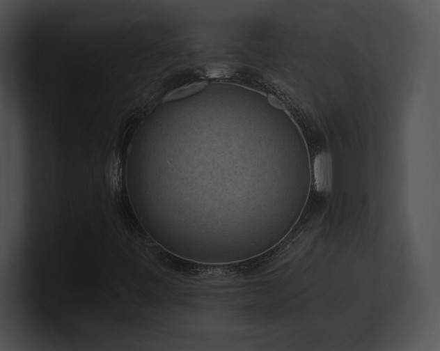 X0000100901443200806241242