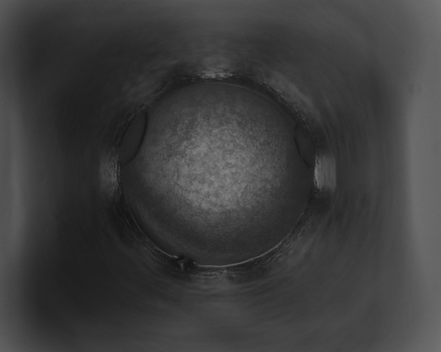 X0000100901444200806241242