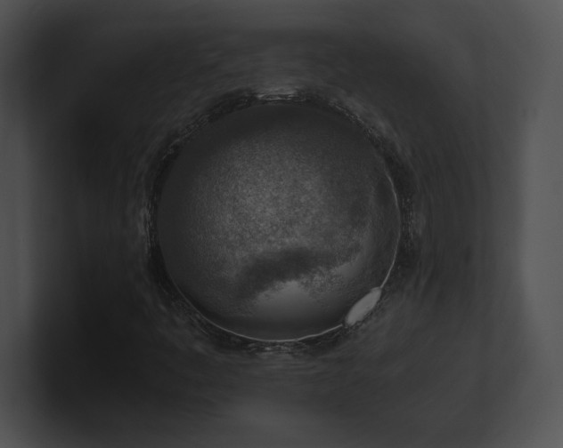 X0000100901445200806241242