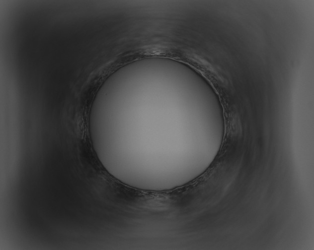 X0000100901446200806241242