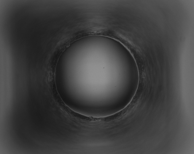 X0000100901447200806241242