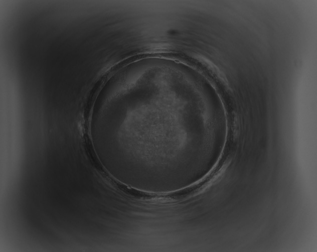 X0000100901449200806241242