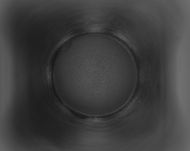 X0000100901450200806241242