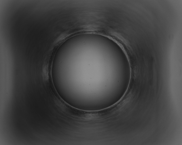 X0000100901451200806241242