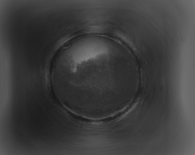 X0000100901453200806241242