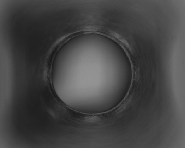 X0000100901454200806241242