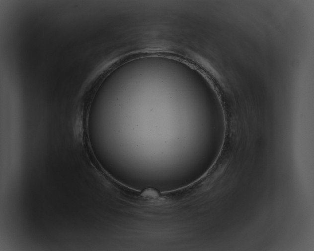 X0000100901456200806241242