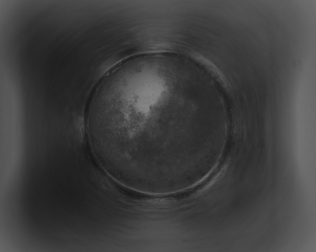 X0000100901457200806241242