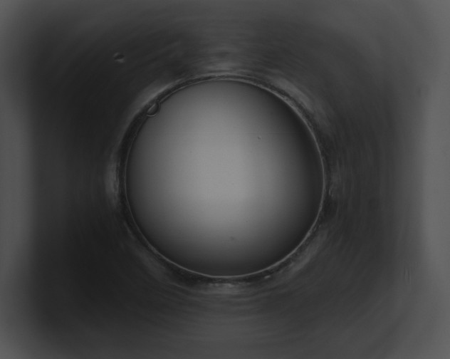 X0000100901458200806241242