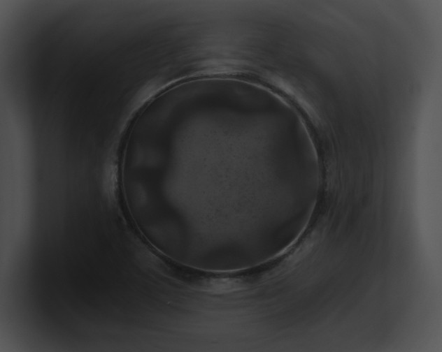 X0000100901459200806241242