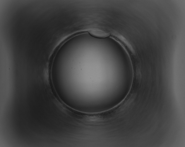 X0000100901460200806241242