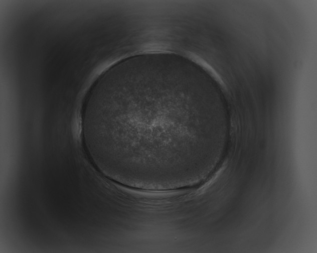 X0000100901461200806241242