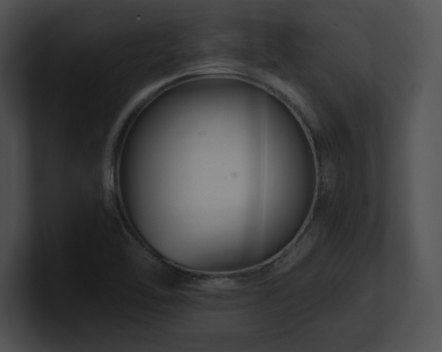 X0000100901462200806241242