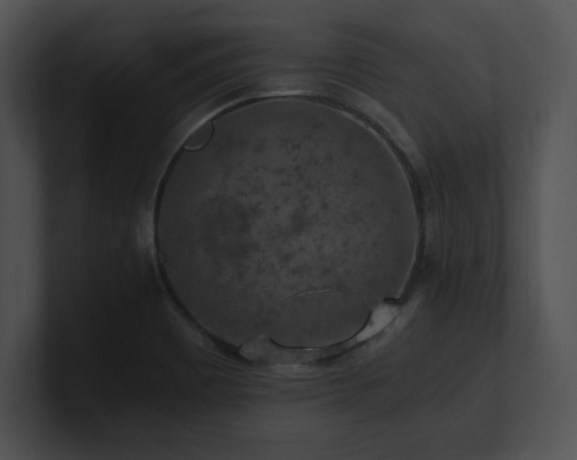 X0000100901465200806241242