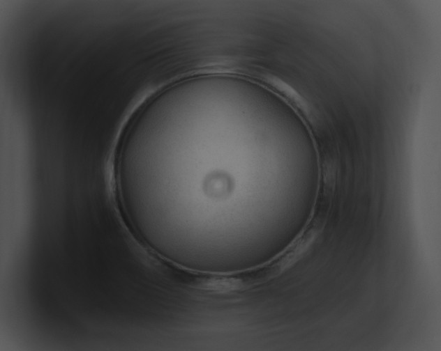 X0000100901466200806241242