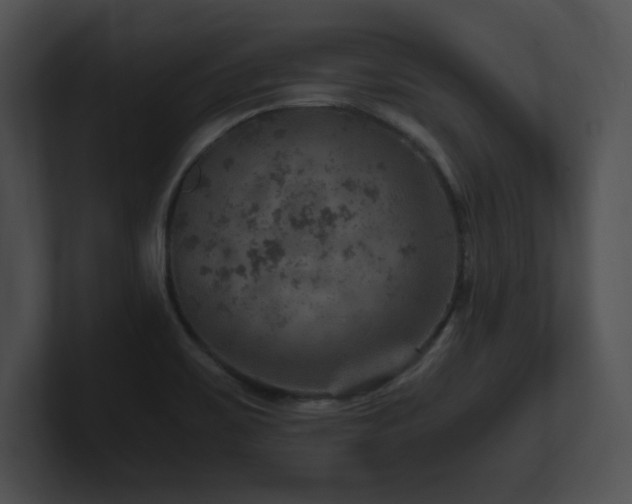 X0000100901467200806241242