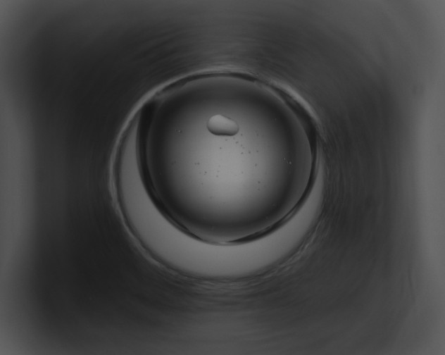 X0000100901468200806241242