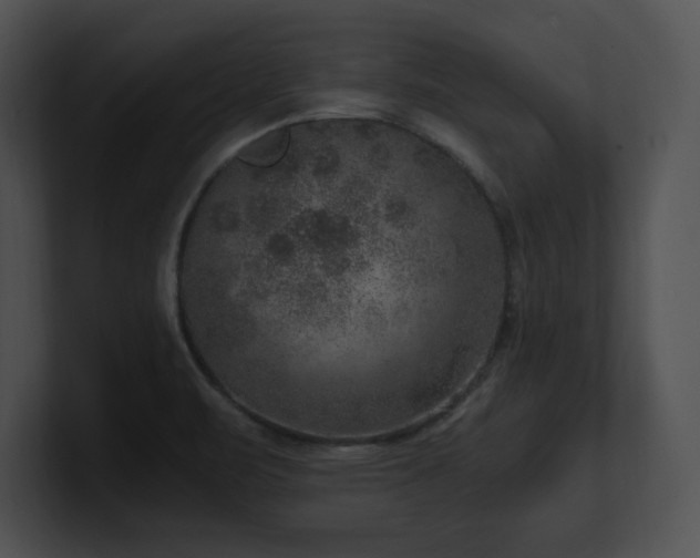 X0000100901471200806241242