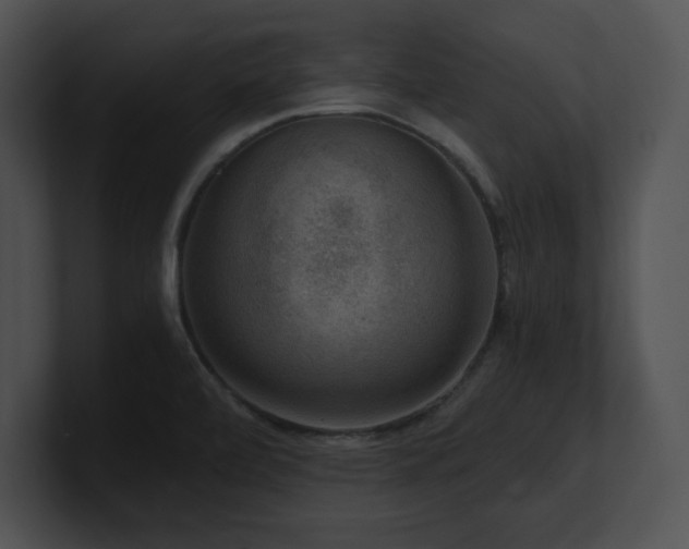 X0000100901472200806241242