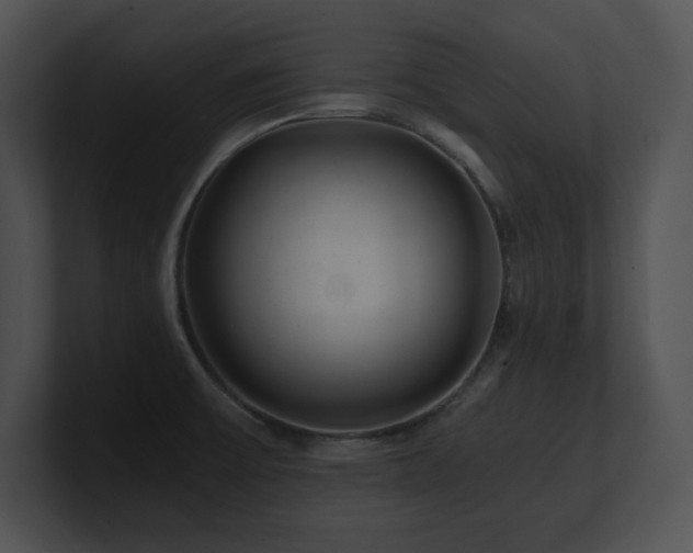 X0000100901475200806241242