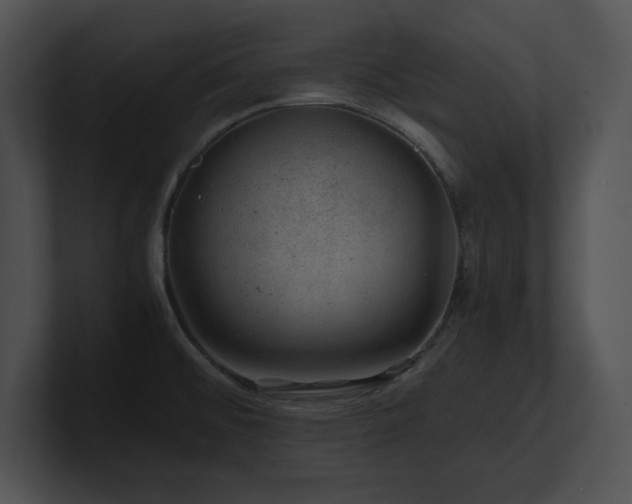 X0000100901476200806241242