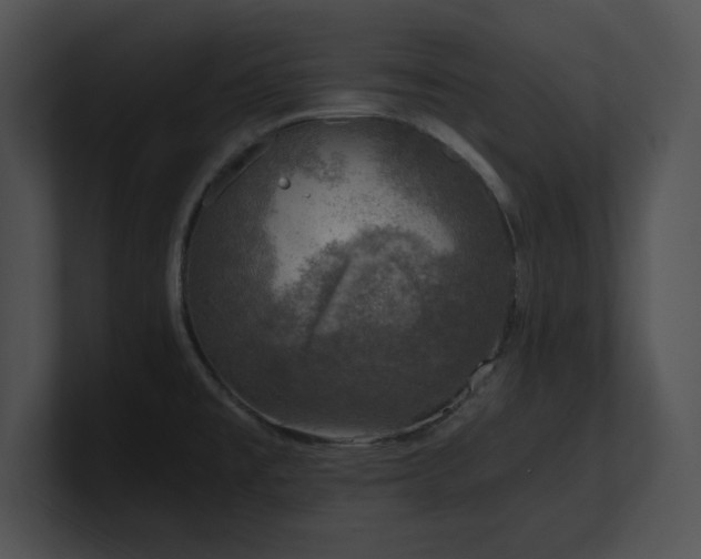 X0000100901477200806241242