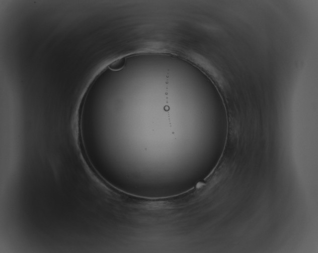 X0000100901479200806241242