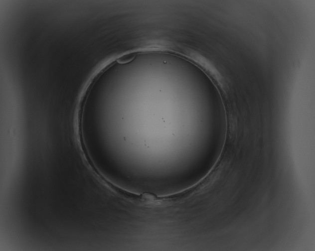 X0000100901480200806241242