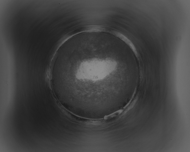 X0000100901481200806241242