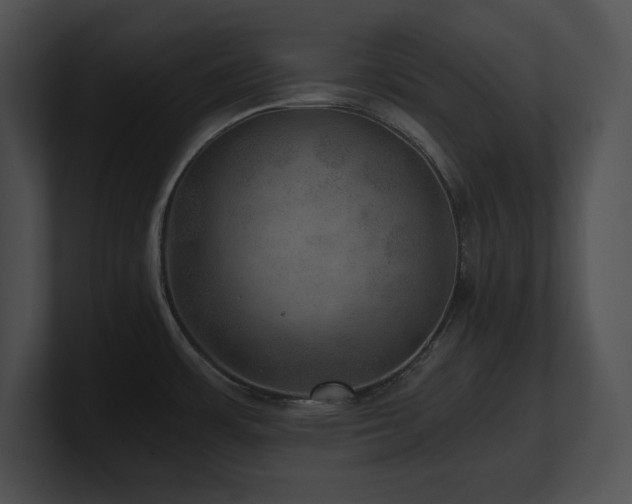 X0000100901483200806241242