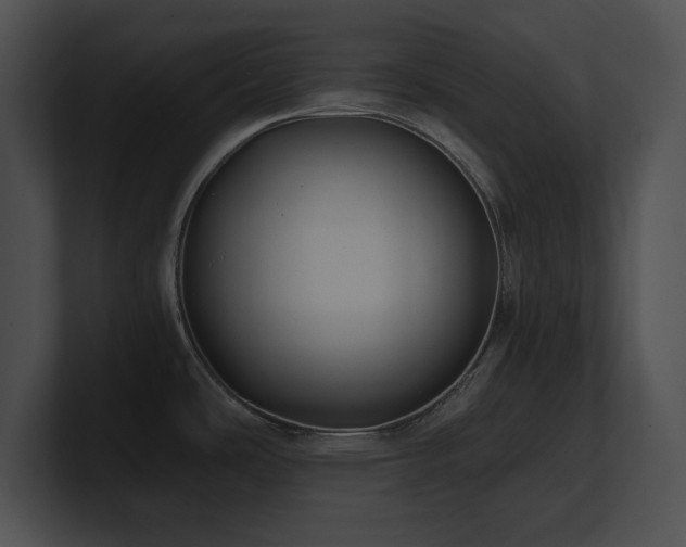 X0000100901486200806241242