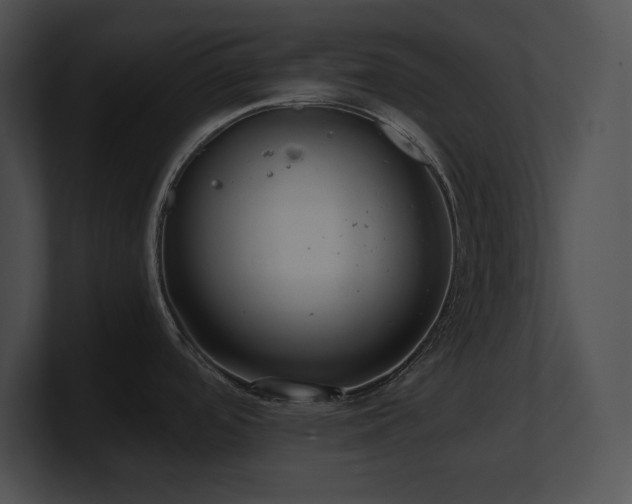 X0000100901488200806241242