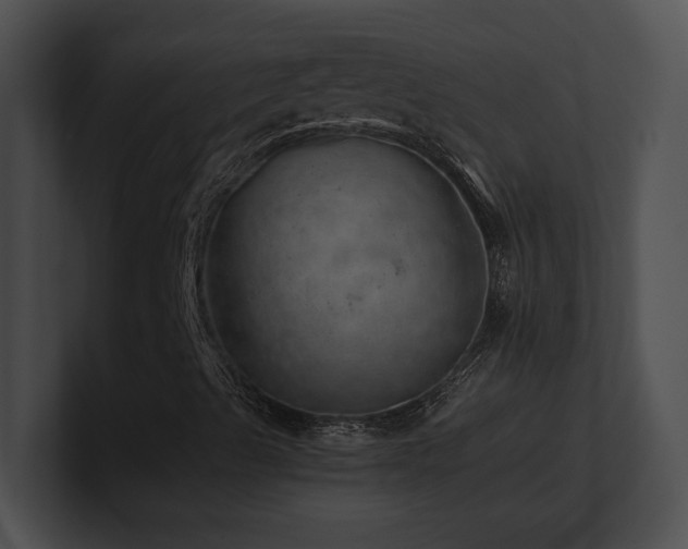 X0000100901489200806241241
