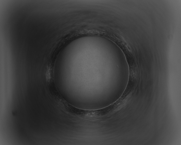 X0000100901490200806241241