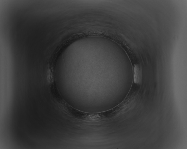 X0000100901491200806241241
